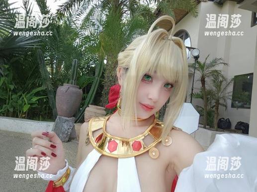puypuychen 不花钱也能拥有Zelda套图,puypuychen教你如何花小钱办大事!