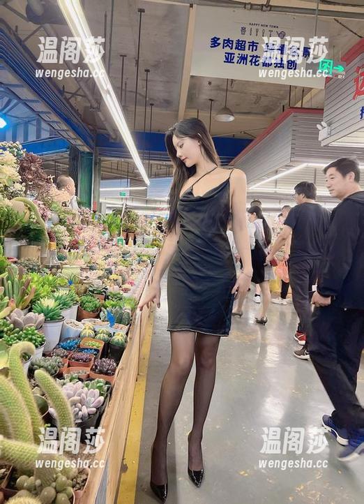 就是阿朱啊 微密圈 - 精选集:就是阿朱啊的乖狗狗,谁说狗狗不会摆Pose?看这一套,直接去参加模特训练了。