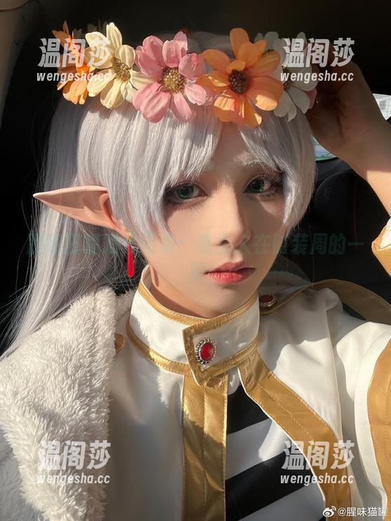 腥味猫罐短裙图集：喵星人在时装周的一天